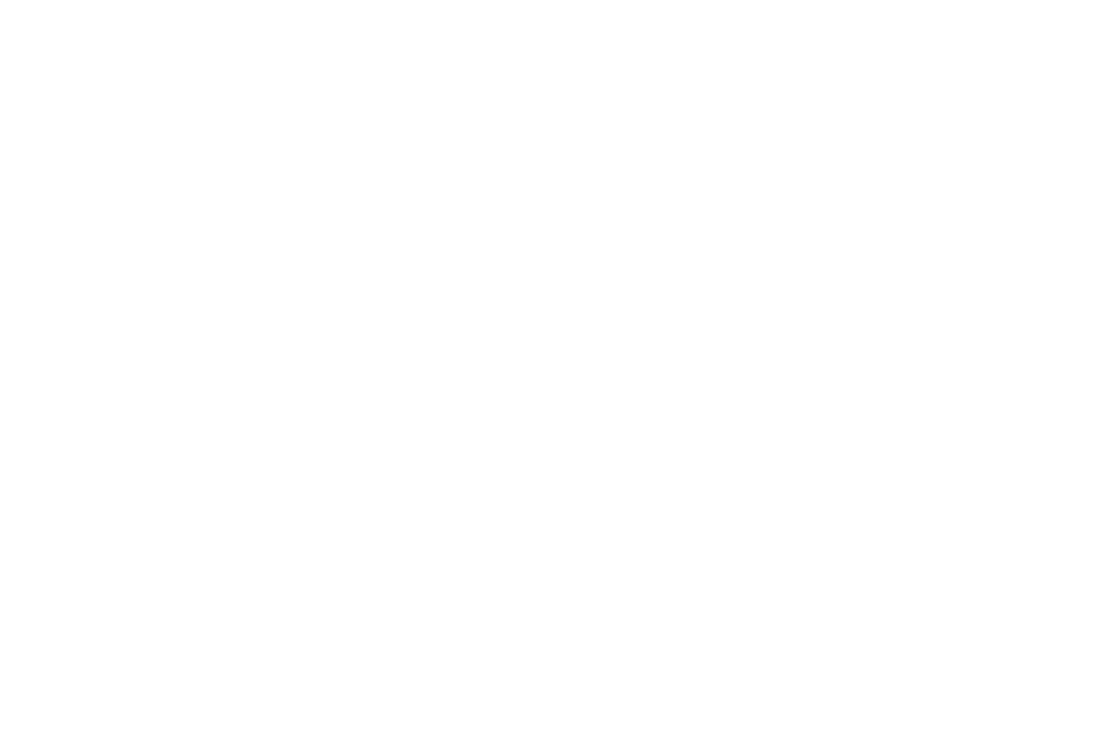 premier plumbing company white logo
