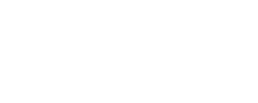premier plumbing company white logo